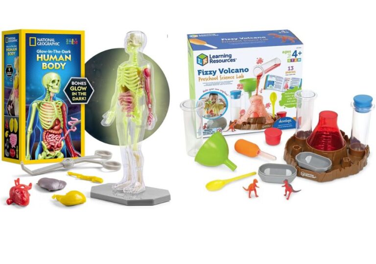 The 5 Best Science Fundamentals Kit – Science Learning Activities for Kids