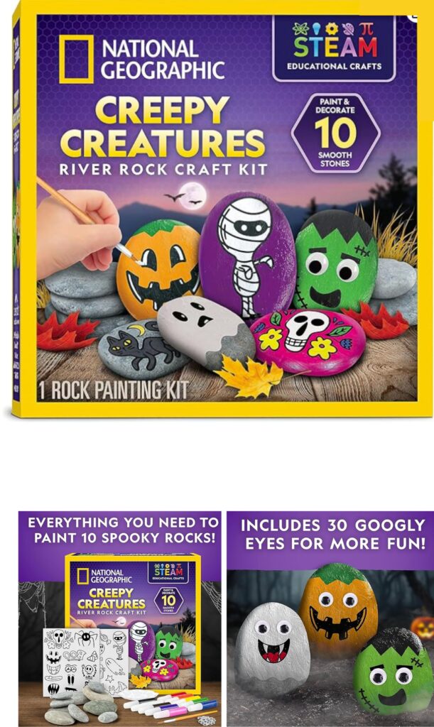 Rock Painting Kit