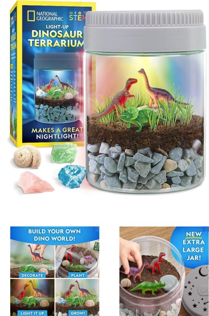 Dinosaur for Kids