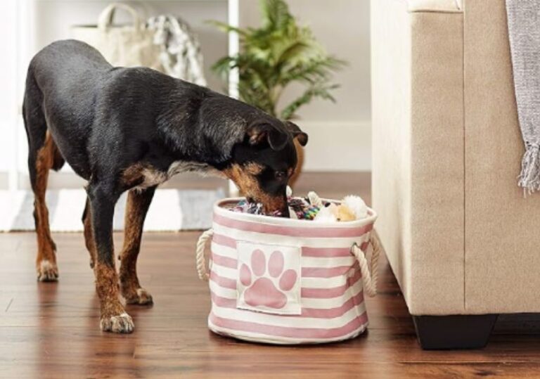 5 Best Dog Toy Storage Bin | Pet Storage Collection Toy Basket