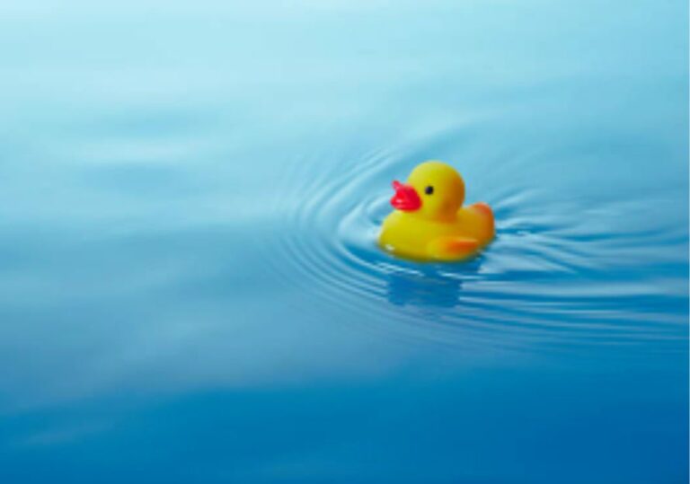 A Toy Duck is Floating on the Water