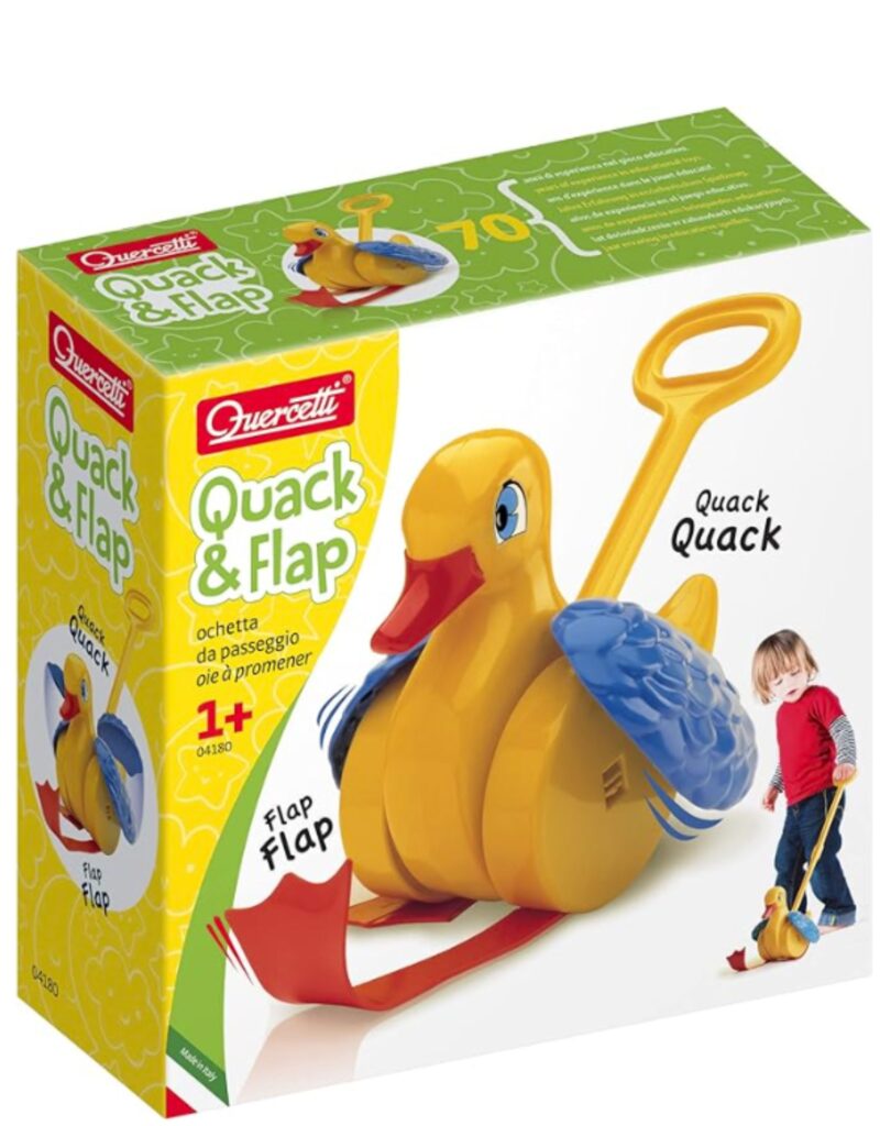 Duck Push Toy