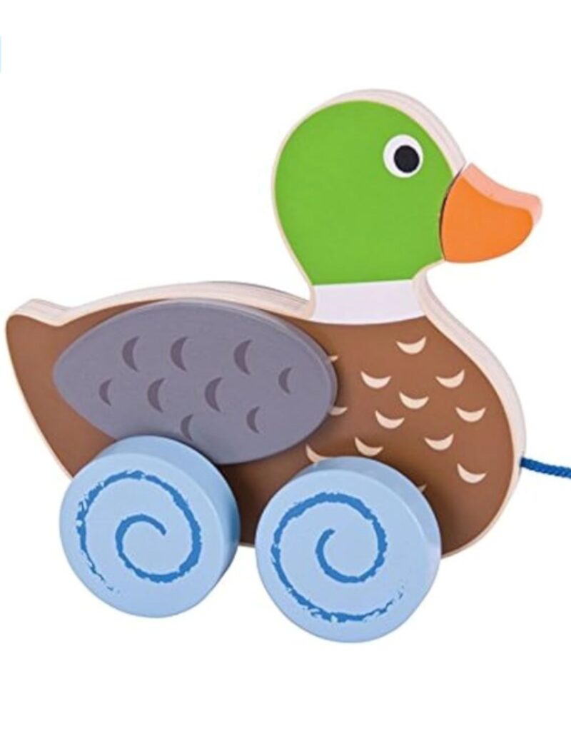 Wooden Duck Toy